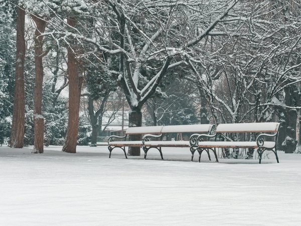 Découvrez la cure morosil pour mincir efficacement